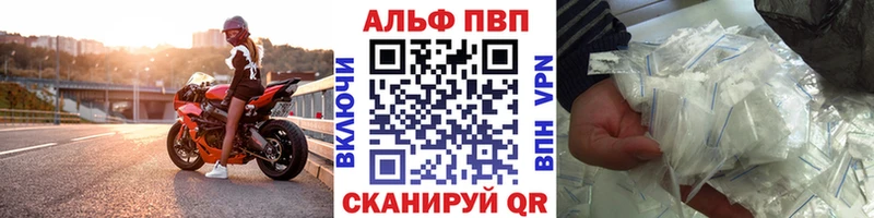 APVP СК КРИС  Полярные Зори 