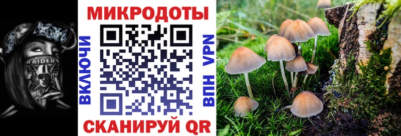 Псилоцибиновые грибы MAGIC MUSHROOMS kraken ТОР Полярные Зори